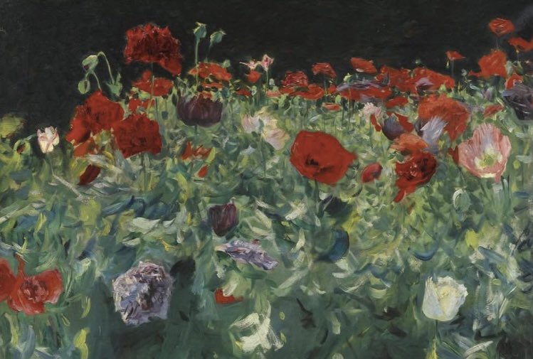 John Singer Sargent
Poppies (A Study of Poppies for Carnation Lily, Lily, Rose), 1886