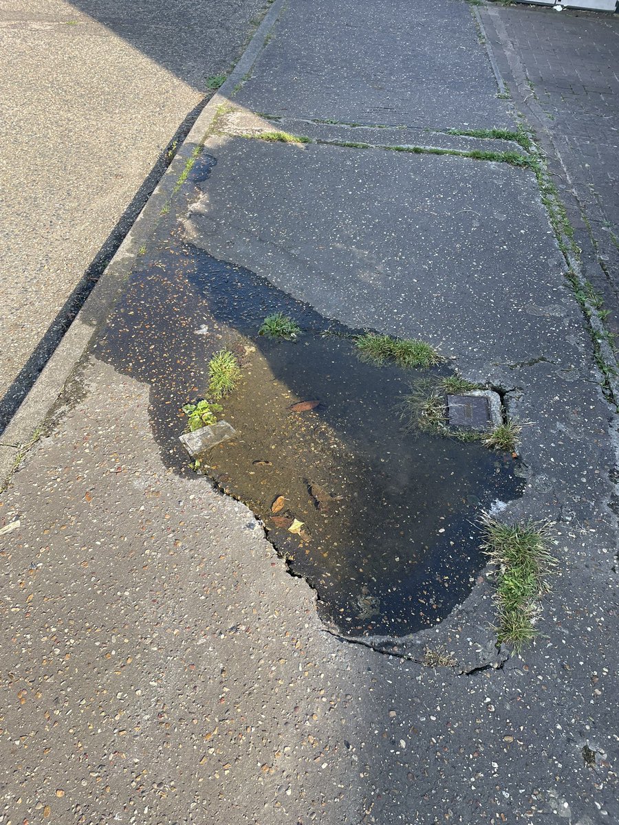 just_j205's tweet photo. @AffinityWater @AnglianWater I believe I may have a leak on the pathway outside my home. It’s been like this all week and we’ve had very hot weather and no rain since Monday. Who should I report this too? First photo 8am today, second photo 5pm today. https://t.co/YJcx2W5WXG