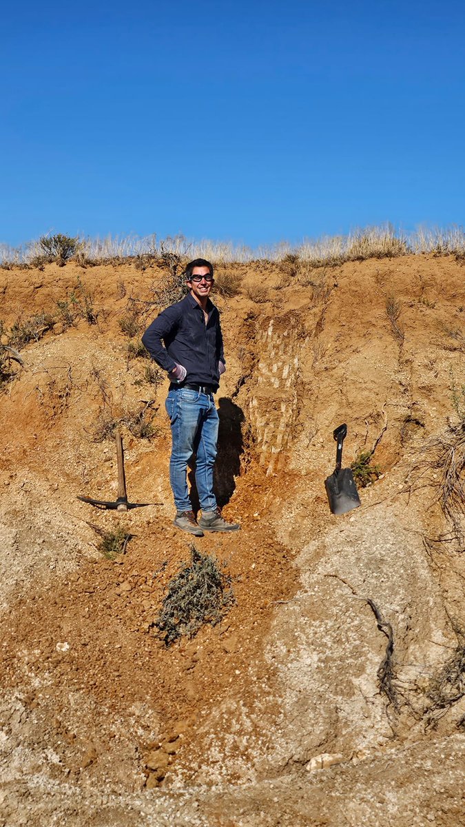 And it's a wrap! After 7 weeks of fieldwork filled with discoveries and new encounters, the team has returned to Bordeaux.

See you soon at SAfA 2025 in Portugal!