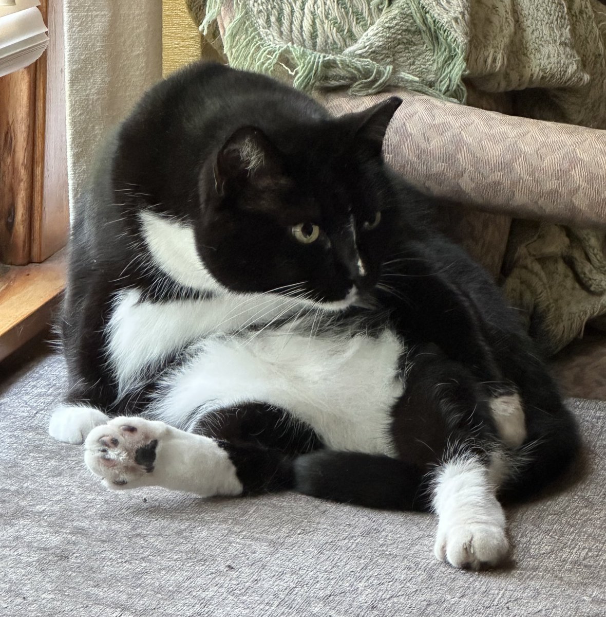 ReaganAndWonky's tweet image. sumday Clem seat
