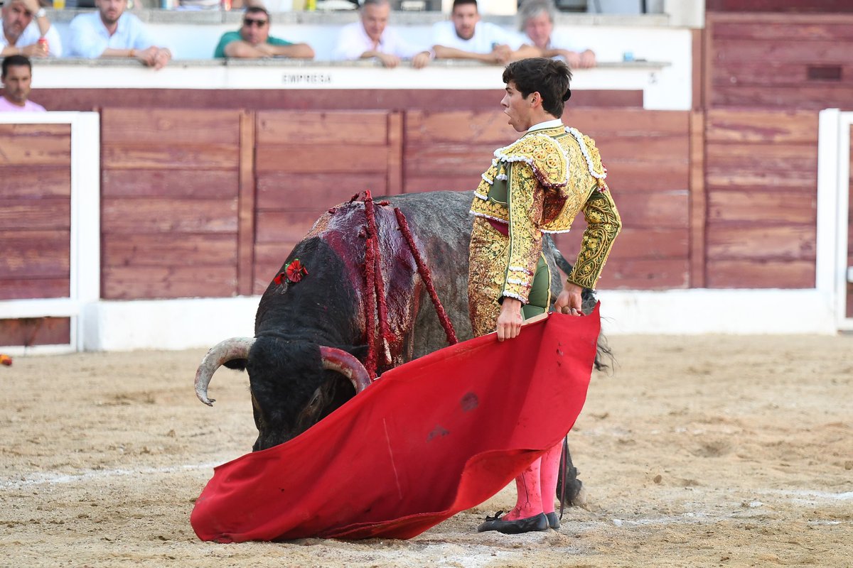 Portal Taurino (@portaltaurino) on Twitter photo San Martín de Valdeiglesias Saludos para Julio Méndez con el cuarto de <a href="/Flordejara6/">Flor de Jara Ganadería</a>. Un gran utrero, encastado y con duración donde toreó a placer el joven espada pero que volvió a fallar con los aceros esfumándose los trofeos. San Martín de Valdeiglesias Saludos para Julio Méndez con el cuarto de <a href="/Flordejara6/">Flor de Jara Ganadería</a>. Un gran utrero, encastado y con duración donde toreó a placer el joven espada pero que volvió a fallar con los aceros esfumándose los trofeos.