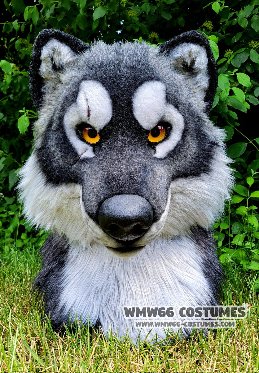 WMW66Costumes tweet picture