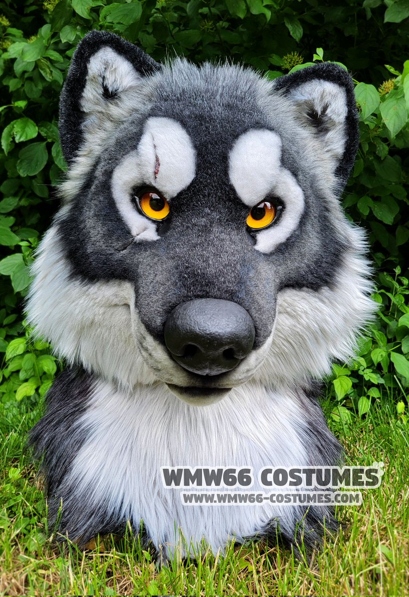 Finished head for <a href="/WhiskeyBark/">Coyote kisses taste like Whiskey @SOCOM @SFD @EAST</a> 
Rest of body is gonna be done soon
#fursuitmaker #fursuitwip #realisticfursuit