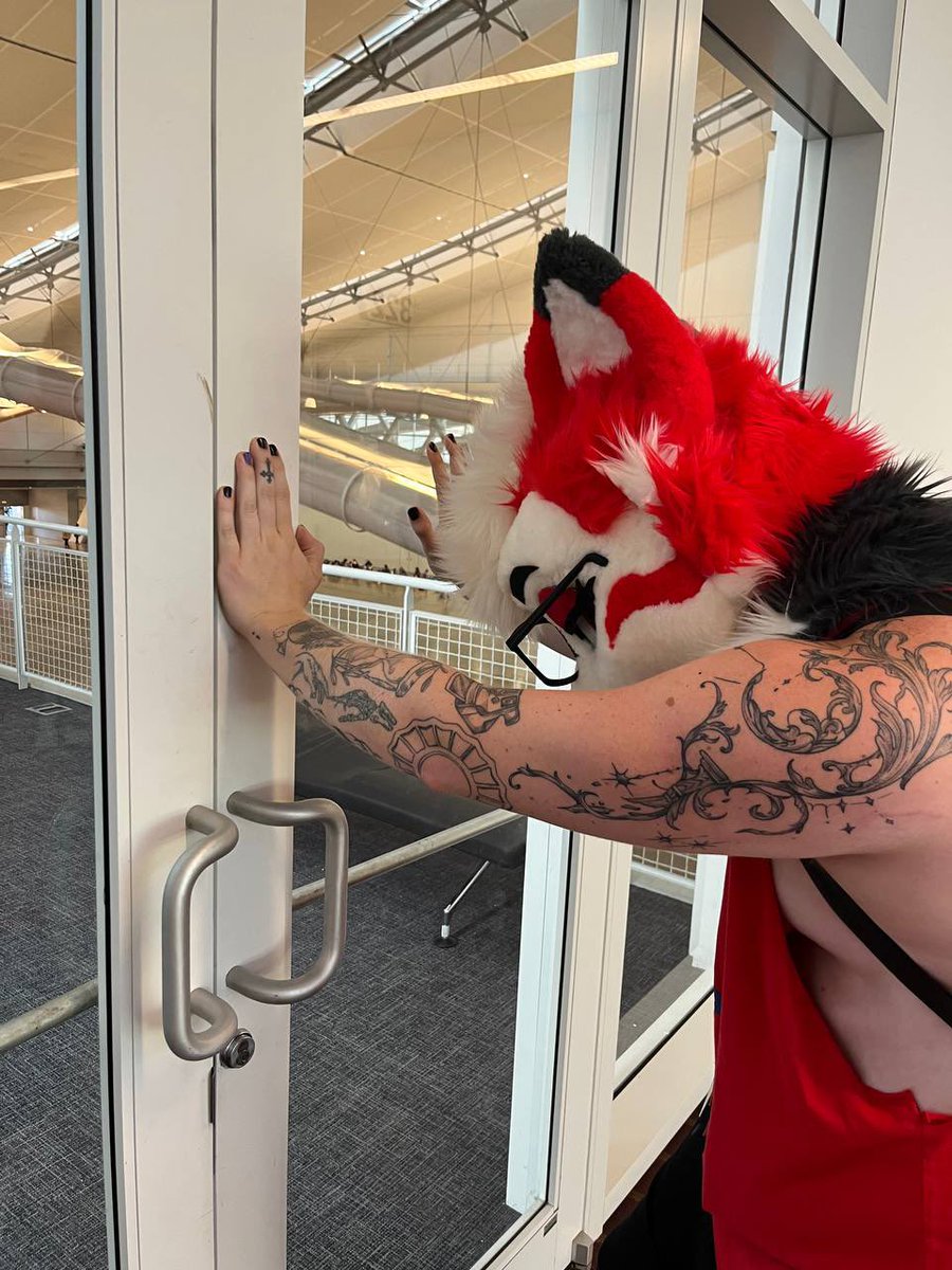 RivalsTheHusky's tweet image. stupid dumbass dog doesn’t understand how doors work