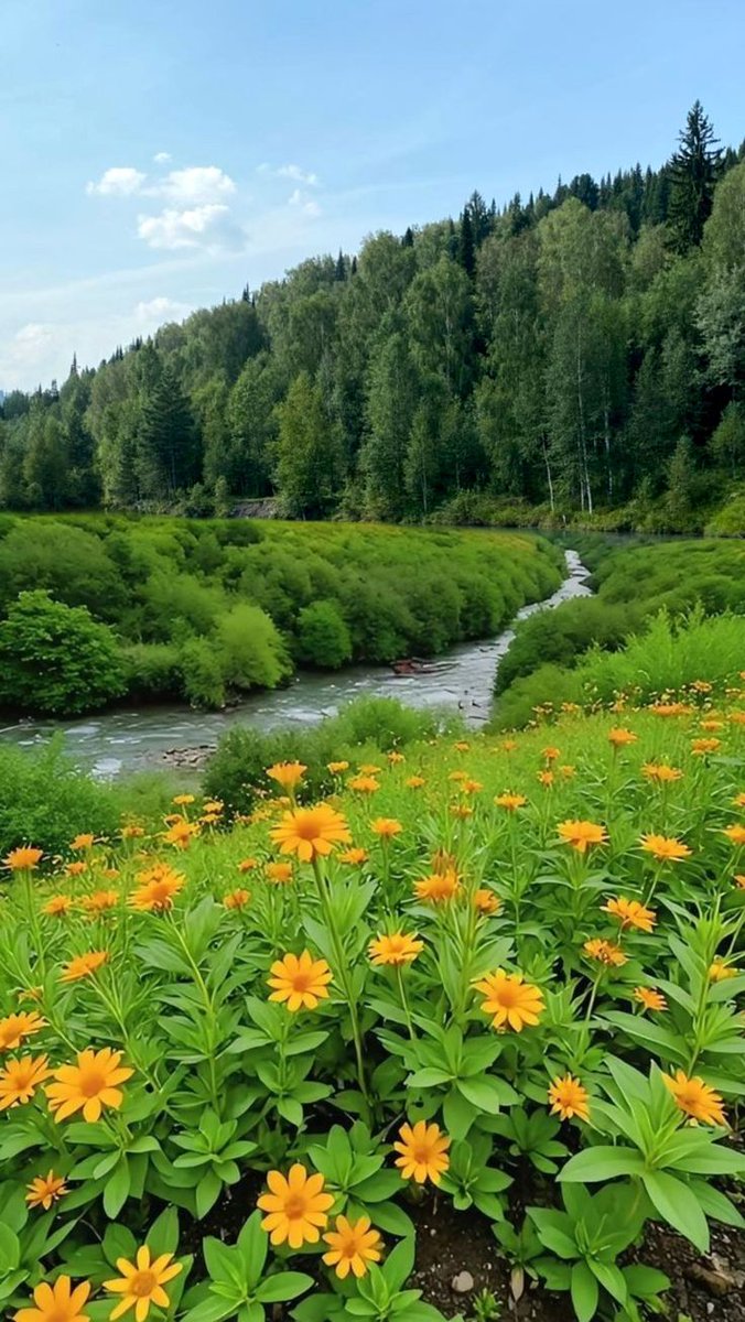 Flowers and Gardens 💐🌹🌺🌷🌸 (@beauty_lovers11) on Twitter photo 