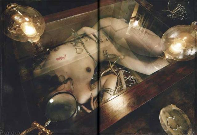 Cabinet de curiosité - Atsushi Tani