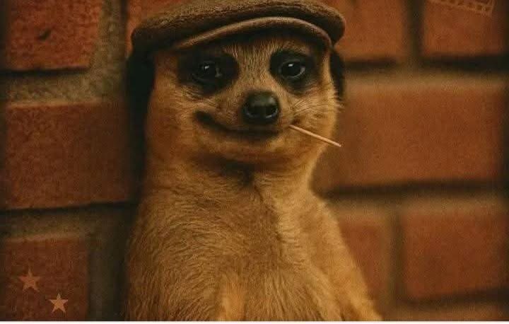 dunyidunyi's tweet image. Sibiya watching Mchunu being put on speacial leave knowing very well he is also an accomplice 😂😂🥴🥴🥴 #familymeeting