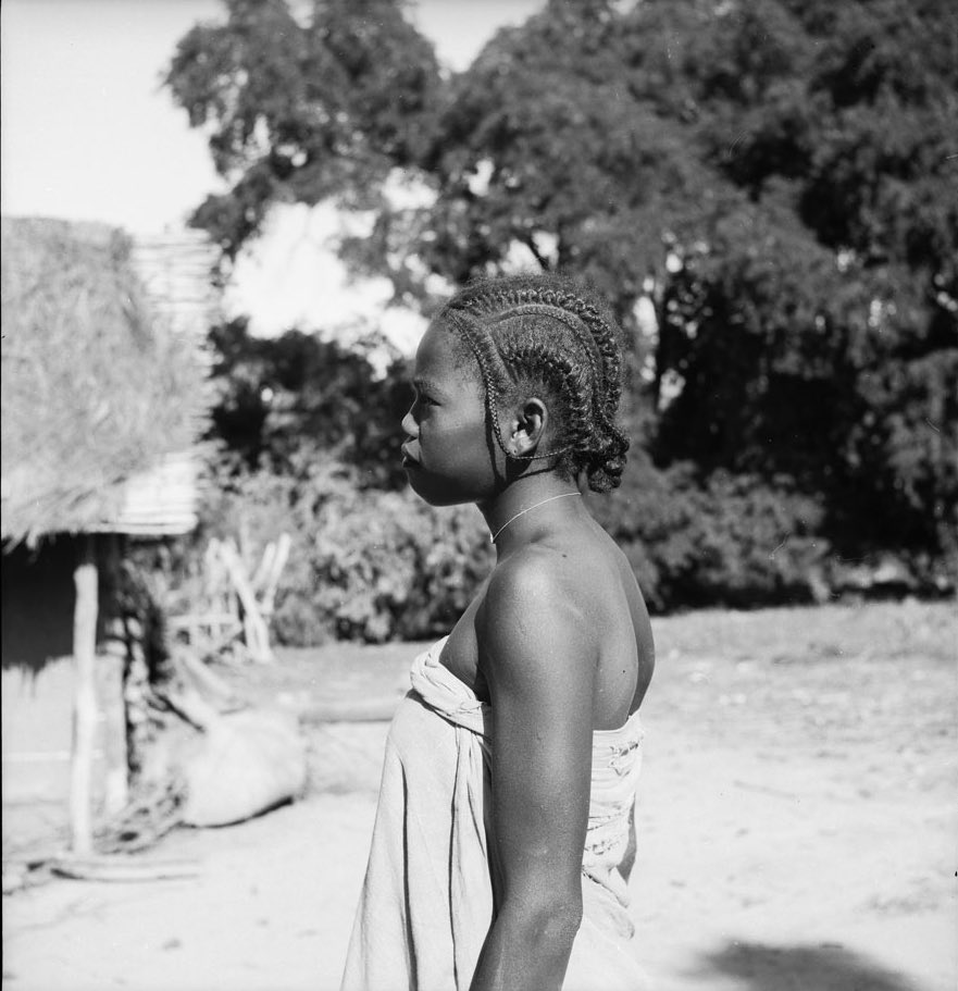 African crowns tweet media