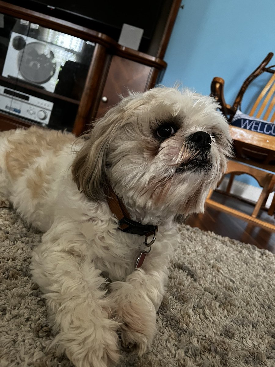 Six 𒌐 tweet media