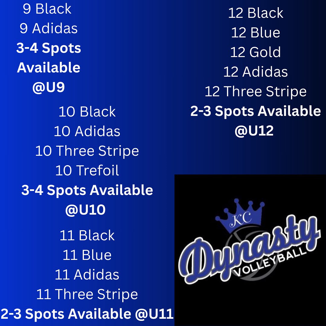 DYNASTY Volleyball (@dynastyvbc) on Twitter photo 