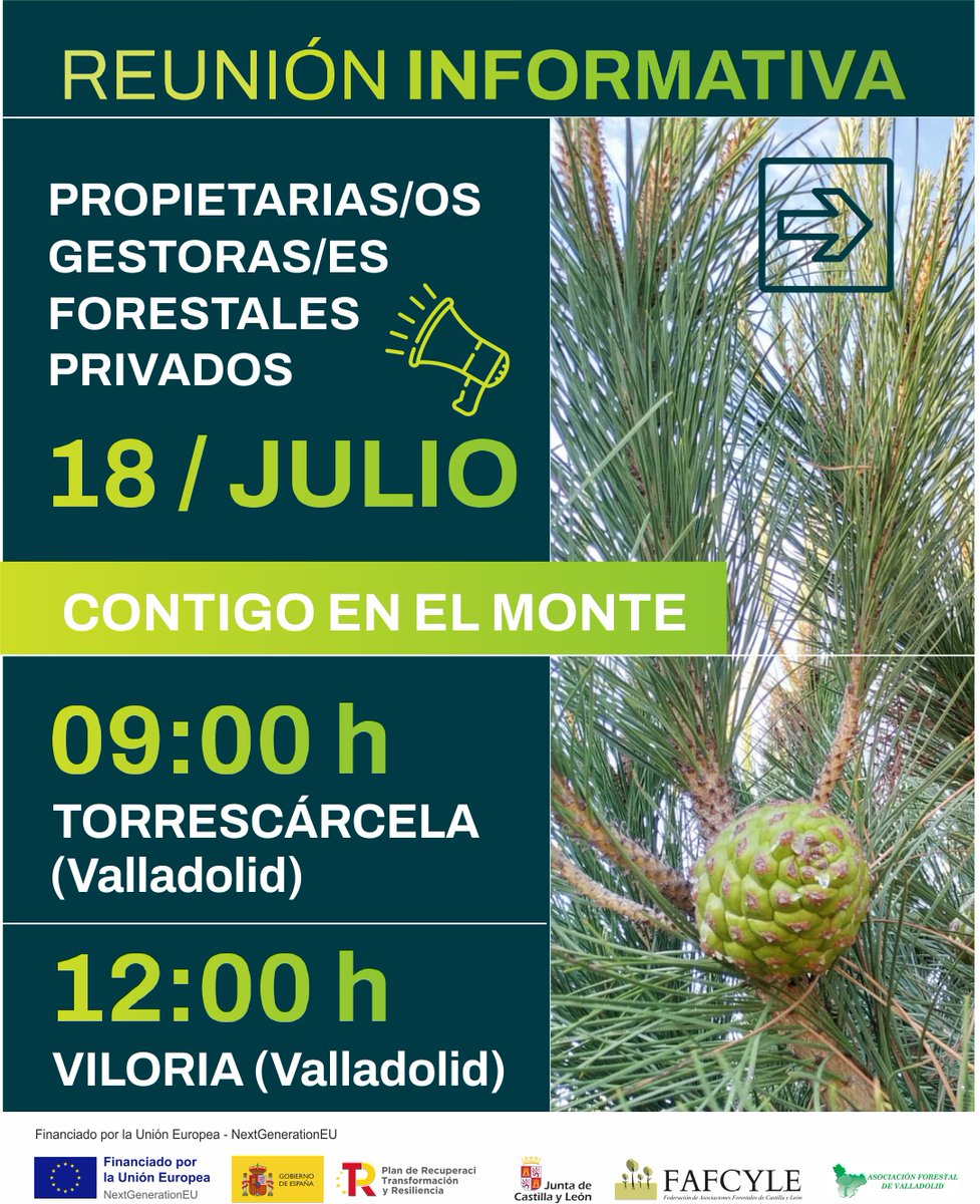 fafcyle's tweet image. 📣 Propietari@s y gestor@s forestales
#Fafcyle y @asfova estarán el próximo 🗓️ 18 de julio en #Torrescárcela y #Viloria
🗣️Hablaremos de las próximas ayudas para montes privados y el nuevo decreto de aprovechamientos. ¡¡Os esperamos!!