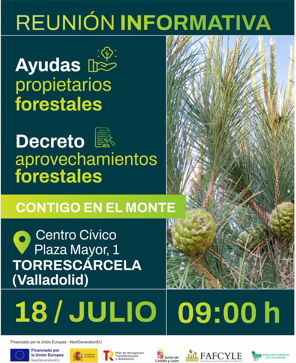 fafcyle's tweet image. 📣 Propietari@s y gestor@s forestales
#Fafcyle y @asfova estarán el próximo 🗓️ 18 de julio en #Torrescárcela y #Viloria
🗣️Hablaremos de las próximas ayudas para montes privados y el nuevo decreto de aprovechamientos. ¡¡Os esperamos!!