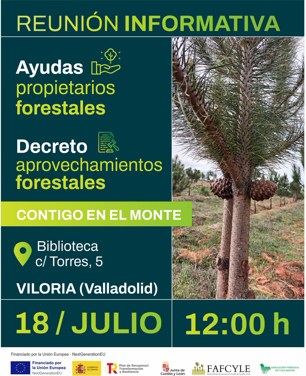 fafcyle's tweet image. 📣 Propietari@s y gestor@s forestales
#Fafcyle y @asfova estarán el próximo 🗓️ 18 de julio en #Torrescárcela y #Viloria
🗣️Hablaremos de las próximas ayudas para montes privados y el nuevo decreto de aprovechamientos. ¡¡Os esperamos!!