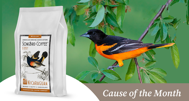 Inspiring people to enjoy and protect wild birds, just by starting their day with a great cup of Bird-Friendly, SongBird Coffee which donates to the American Birding Association. Since 1998 we have raised $279,000 and counting…