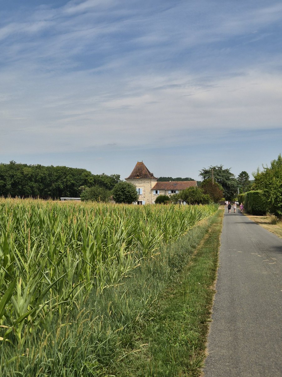 Postcards from France celebrating one of my friends getting married! 🇫🇷🌞