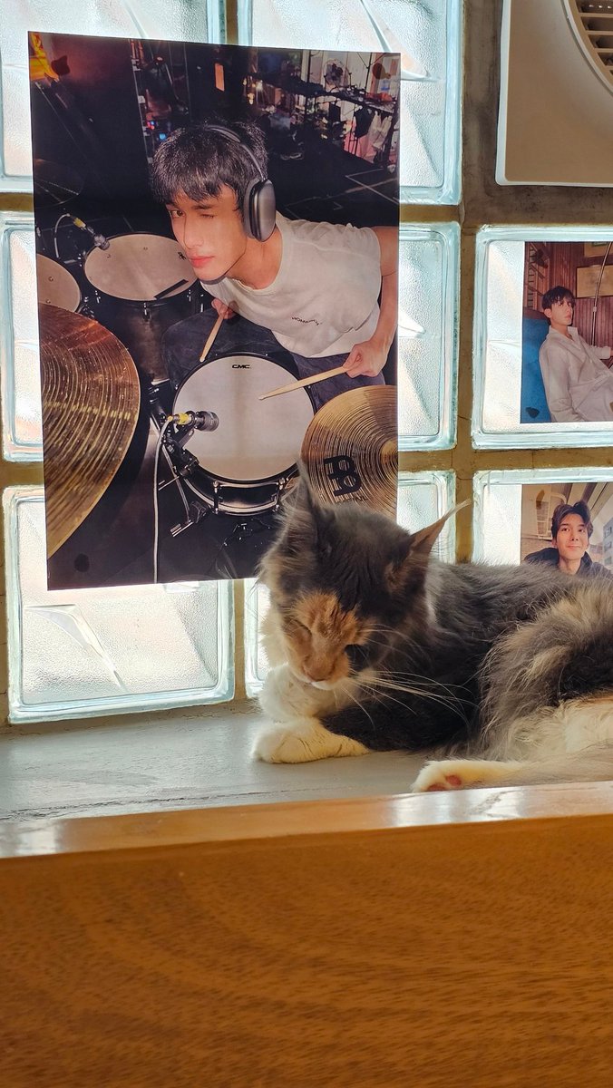 uyneva's tweet photo. NET and CAT 🖤🐈‍⬛️
#Net28thBDProject
#TOINFINETYCAFE 
#netsiraphop @netsiraphop https://t.co/vZ492G2vkC