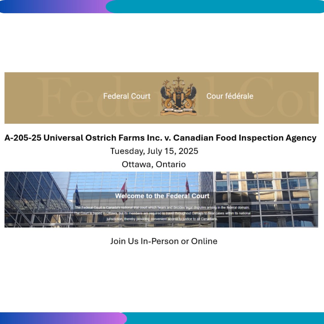Join the UOF vs. CFIA Ottawa Court Hearing
Tuesday July 15, 2025
6:30 AM PST / 9:30 AM EST
In-Person or Online (Pre-Register) saveourostriches.com/legal/join-ott…

#saveourostriches #stopgovernmentoverreach #savethefarmers