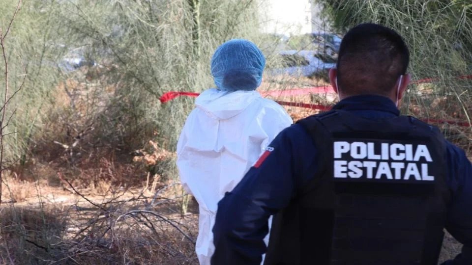 #SONORA Asesinan a balazos a joven de 17 años en Guaymas
La FGJES abrió una carpeta por el homicidio del menor de 17 años localizado sin vida en la comunidad de Vícam, Guaymas.
El descubrimiento del cadáver ocurrió el sábado 12 de julio de 2025, alrededor de las 07:00 horas