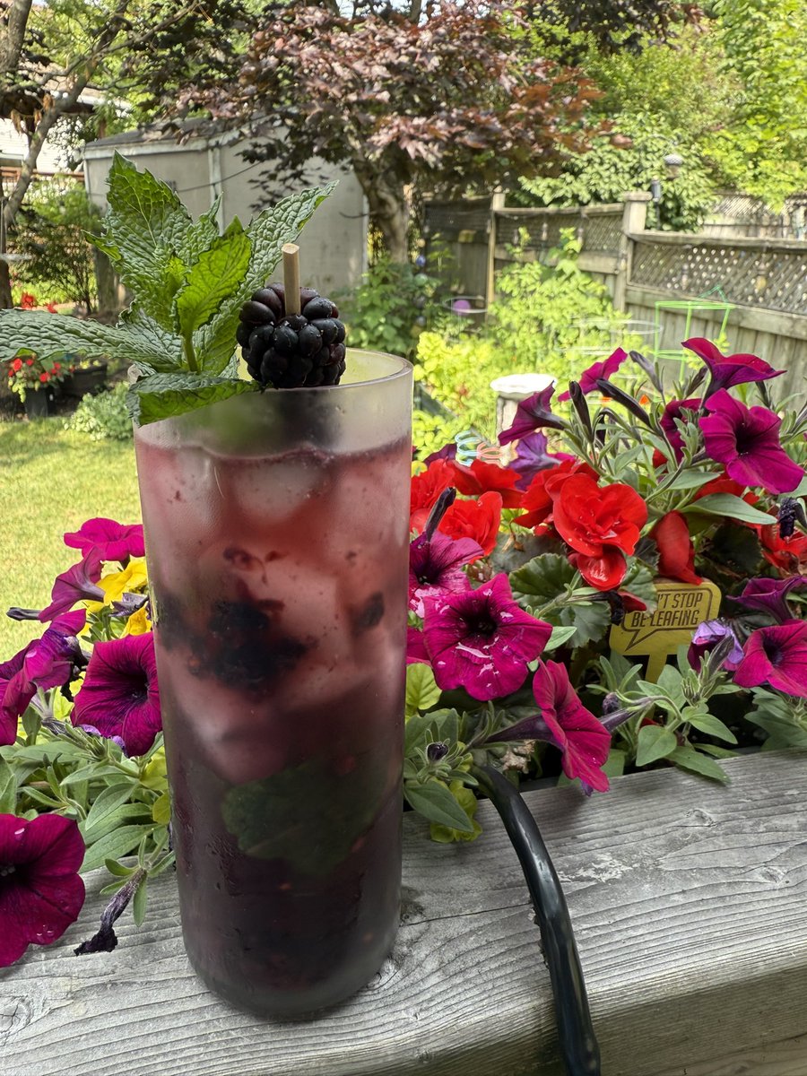Ok one more, just for creativity’s sake. The blackberry lemon mint rum smash. Blackberries &amp; mint muddled with agave syrup, 2oz of Tortuga Gold Rum (Cayman Islands), stirred, ice  &amp; topped with lemon sparkling water. 

The things I do for the people! 😆😆

#charcolesns onthebar