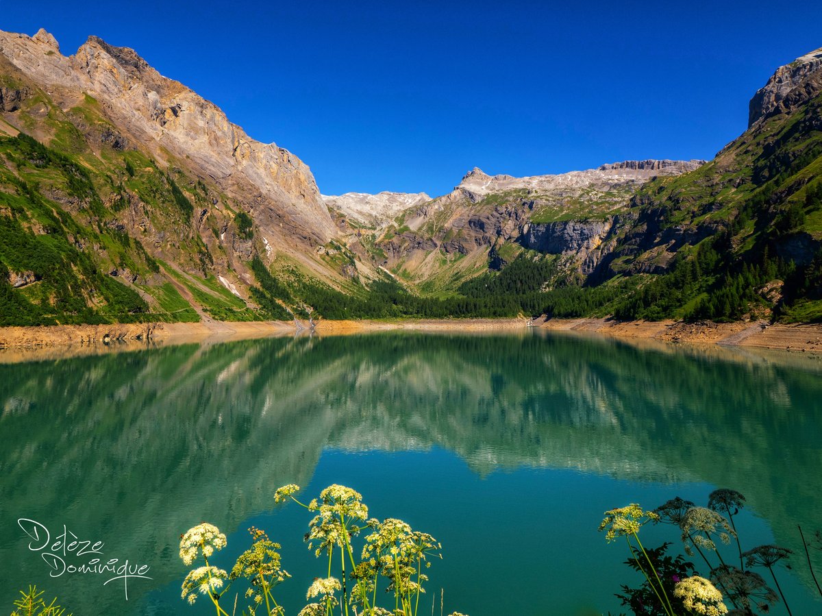 DelezeD's tweet image. Décor merveilleux offert par les montagnes, Lac de Tseuzier 🏔️🤩🏔️🇨🇭

#suisse #switzerland @valaiswallis @anzere365 @MySwitzerland_e