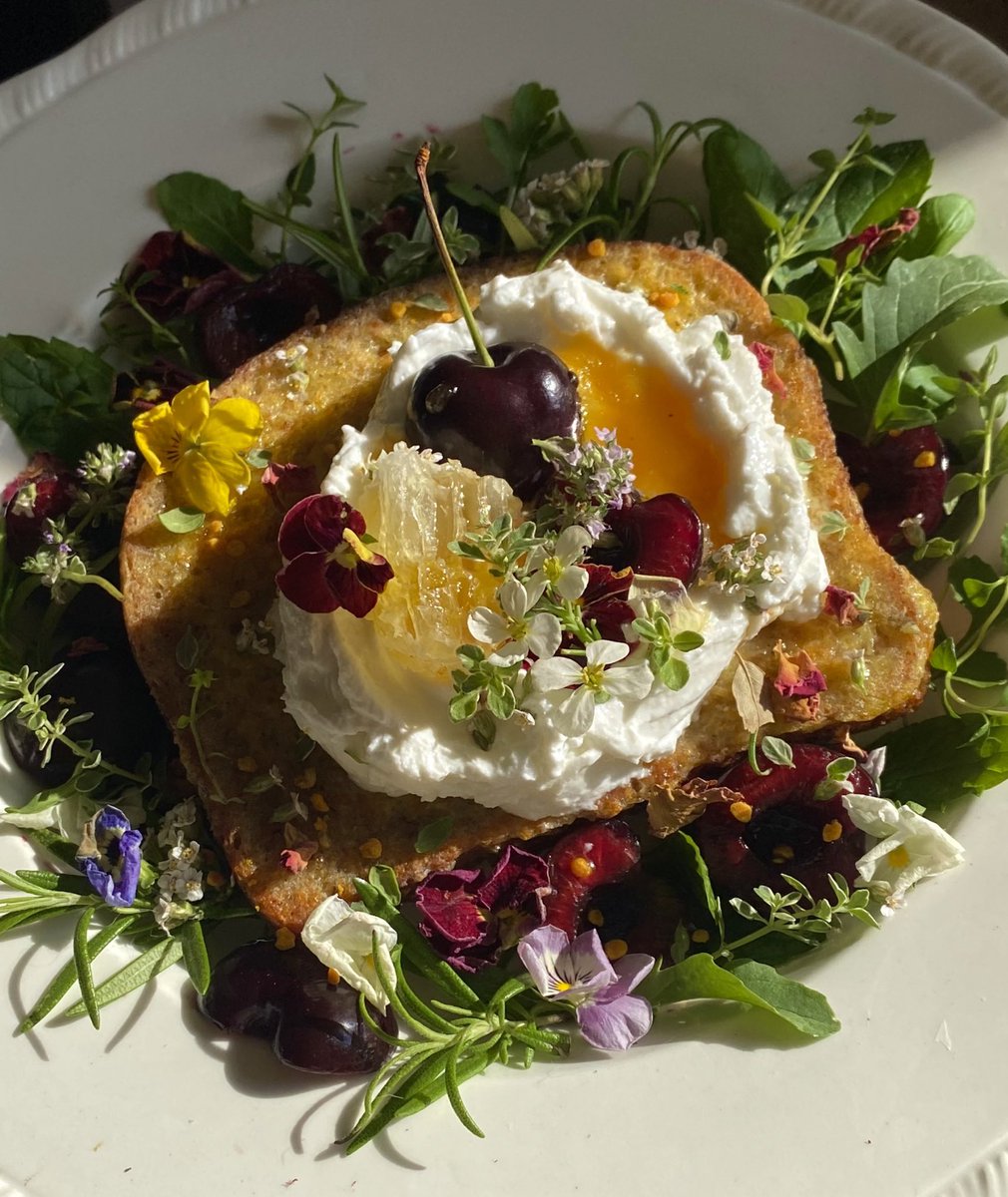 crystallisedfig's tweet image. Cherry French toast with chamomile chantilly and local honey