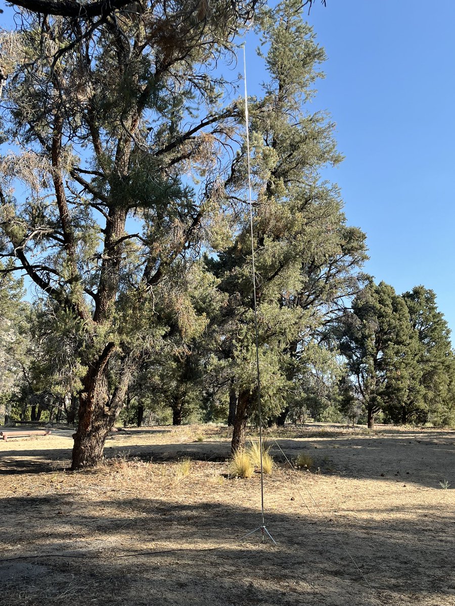 On Friday I was a little skeptical about my new 17’ Chameleon, but I think the day’s experience had more to do with band conditions than anything else. Today went much better, and I’m liking the new antenna.