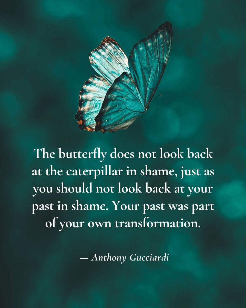 🦋🦋🦋🦋🦋🦋🦋🦋🦋🦋🦋