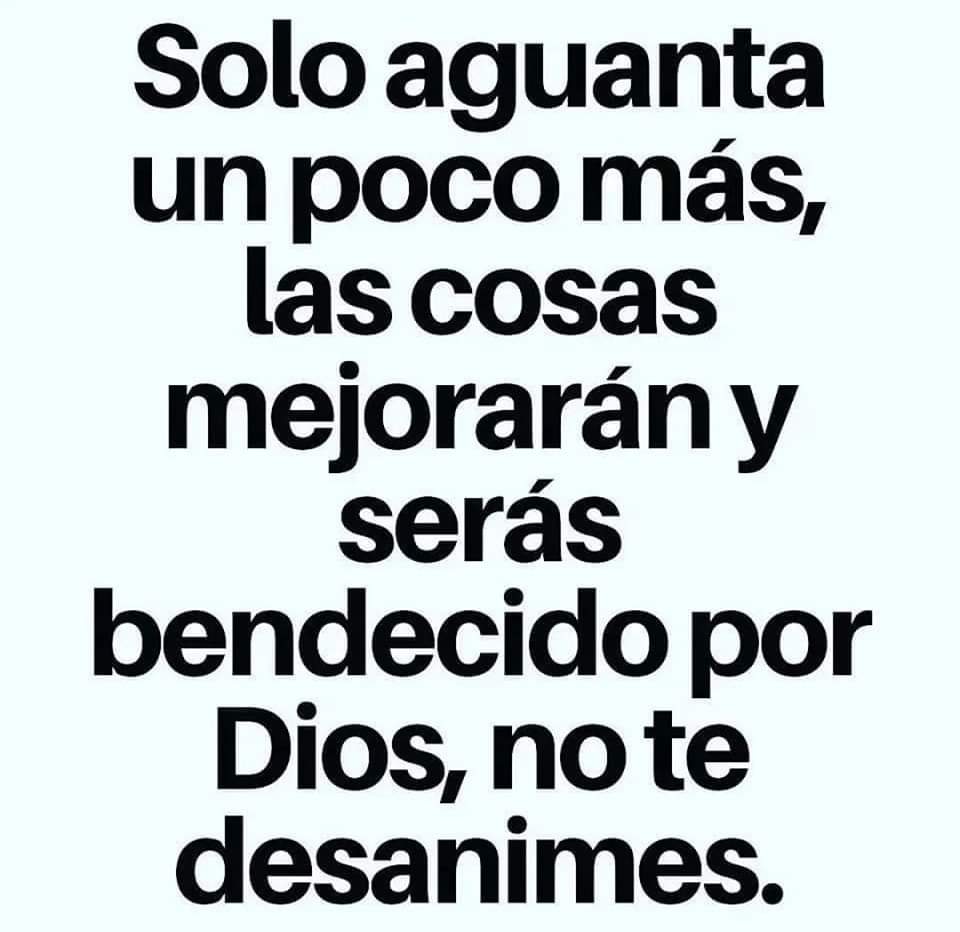 Biblia_Linea's tweet image. 