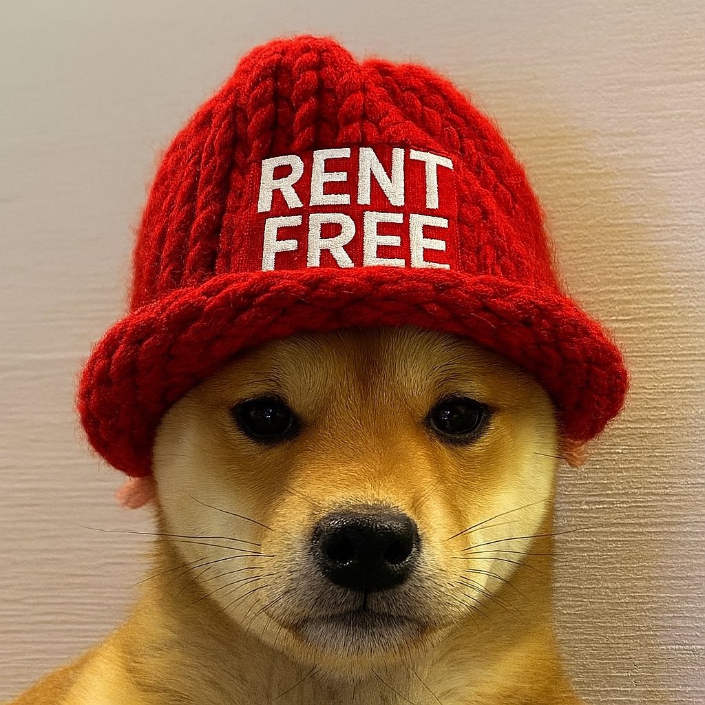 <a href="/SolportTom/">Tom</a> $WIF only