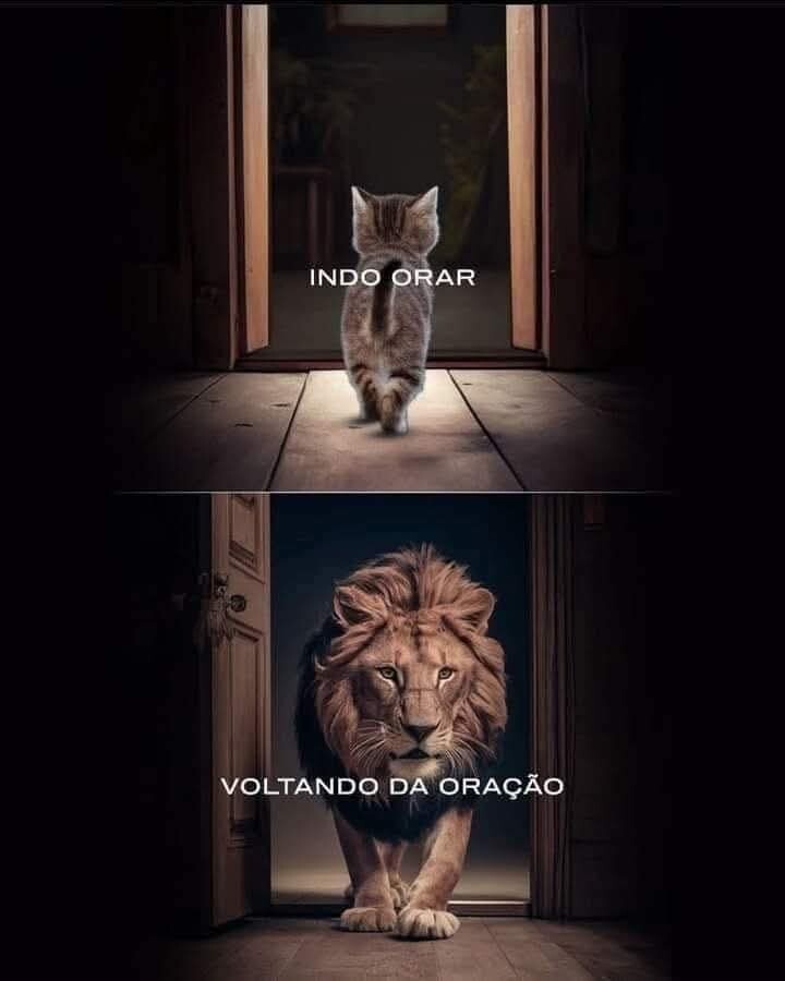 🙇‍♂️