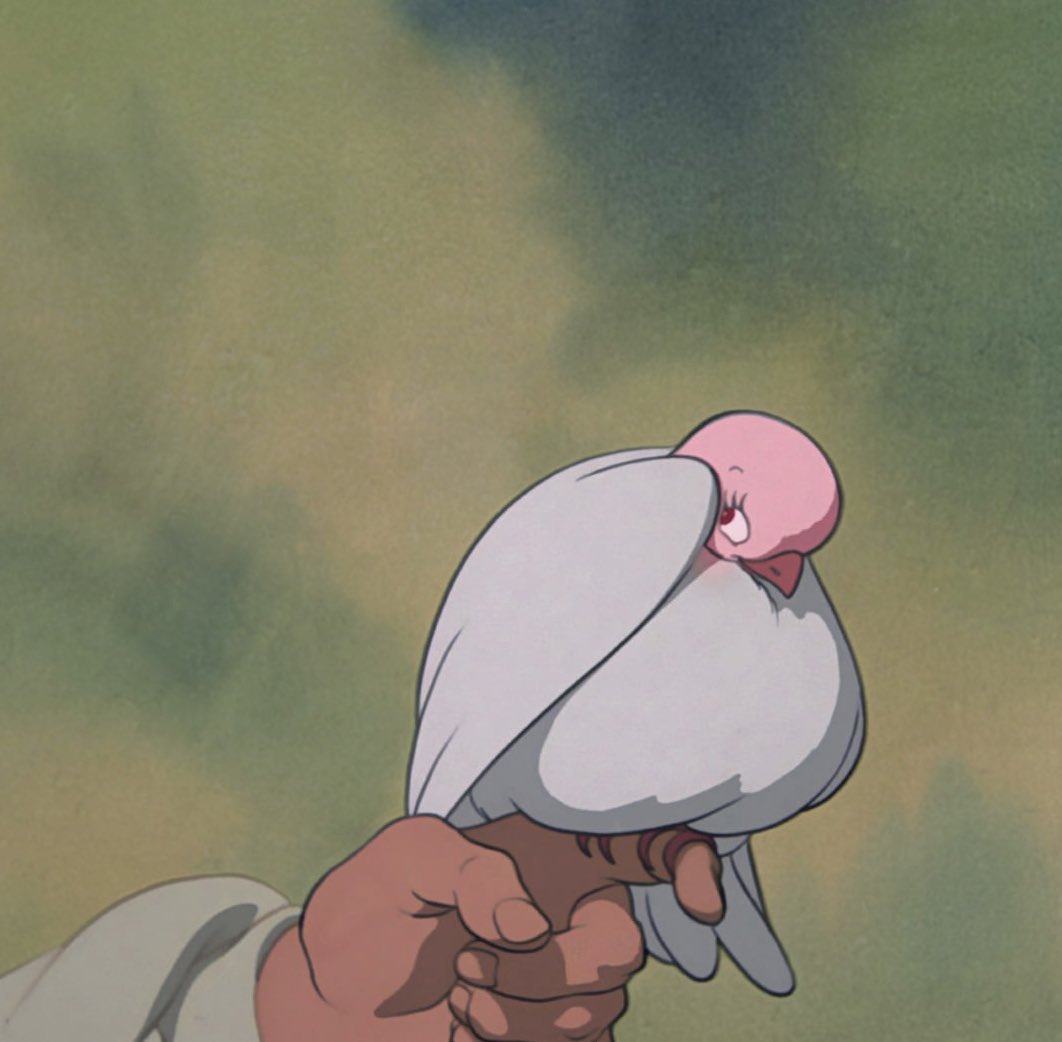 ⧽ 𝗚𝗥𝗔𝗬 (@smxrtasshole) on Twitter photo 