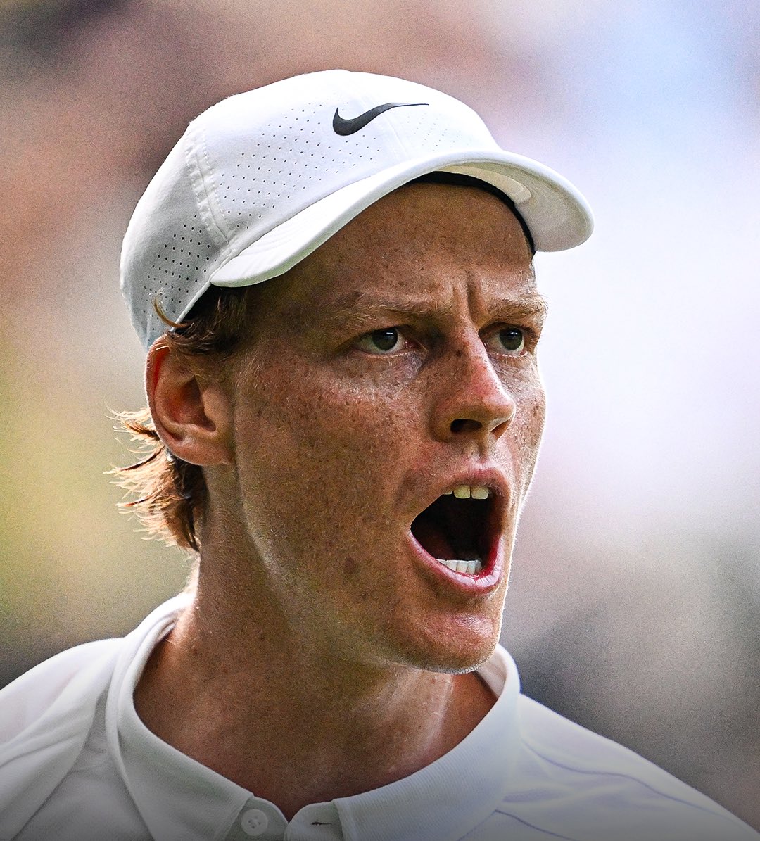 José Morón tweet media