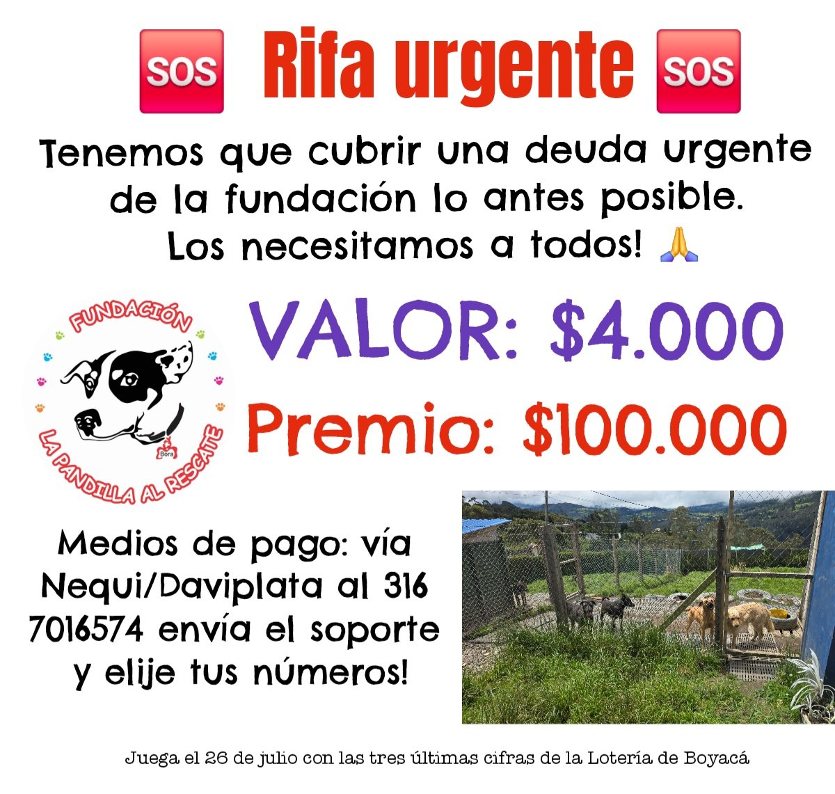 🆘️Hola Amigos! Perdón la ausencia. Muchísimo trabajo y mil cosas más 🥺. Recuerden que todavía pueden participar en nuestra rifa!! Ayúdennos a salir de problemas 😭😭