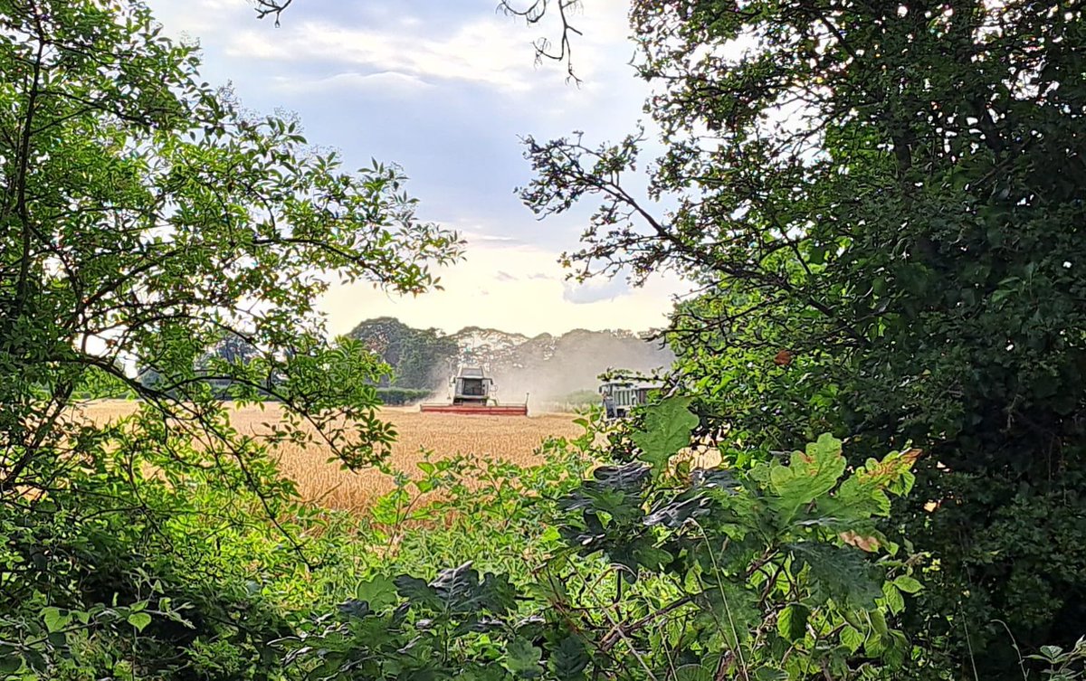 Mike Pannett, Author,TV Drama/Doc Development 🇬🇧 (@mikepannett) on Twitter photo The English Countryside is something worth protecting. Keeping our green belt land away from those who wish to build millions of new homes on it. When it’s gone it’s gone. #RuralLife #England #NorthYorkshire .<a href="/Keir_Starmer/">Keir Starmer</a> .<a href="/RachelReevesMP/">Rachel Reeves</a> .<a href="/kevinhollinrake/">Kevin Hollinrake MP</a> 🏴 The English Countryside is something worth protecting. Keeping our green belt land away from those who wish to build millions of new homes on it. When it’s gone it’s gone. #RuralLife #England #NorthYorkshire .<a href="/Keir_Starmer/">Keir Starmer</a> .<a href="/RachelReevesMP/">Rachel Reeves</a> .<a href="/kevinhollinrake/">Kevin Hollinrake MP</a> 🏴