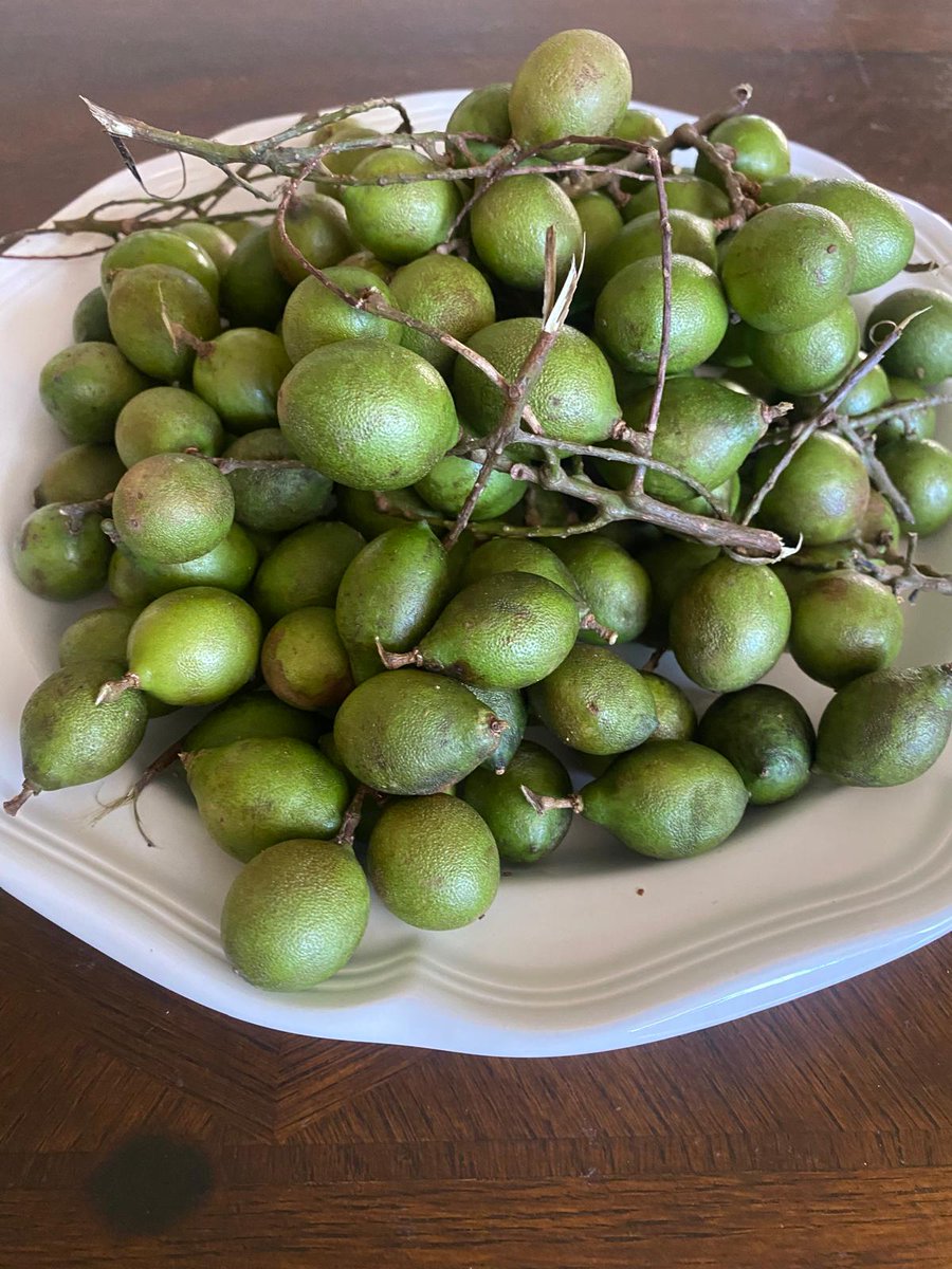 Loca x Los Angeles tweet media