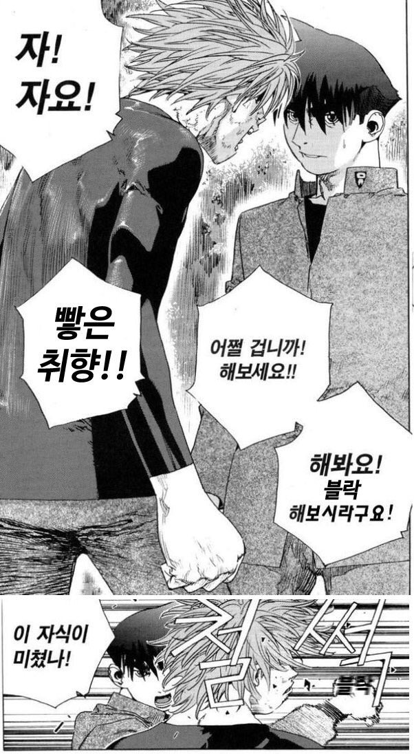 열대 tweet media