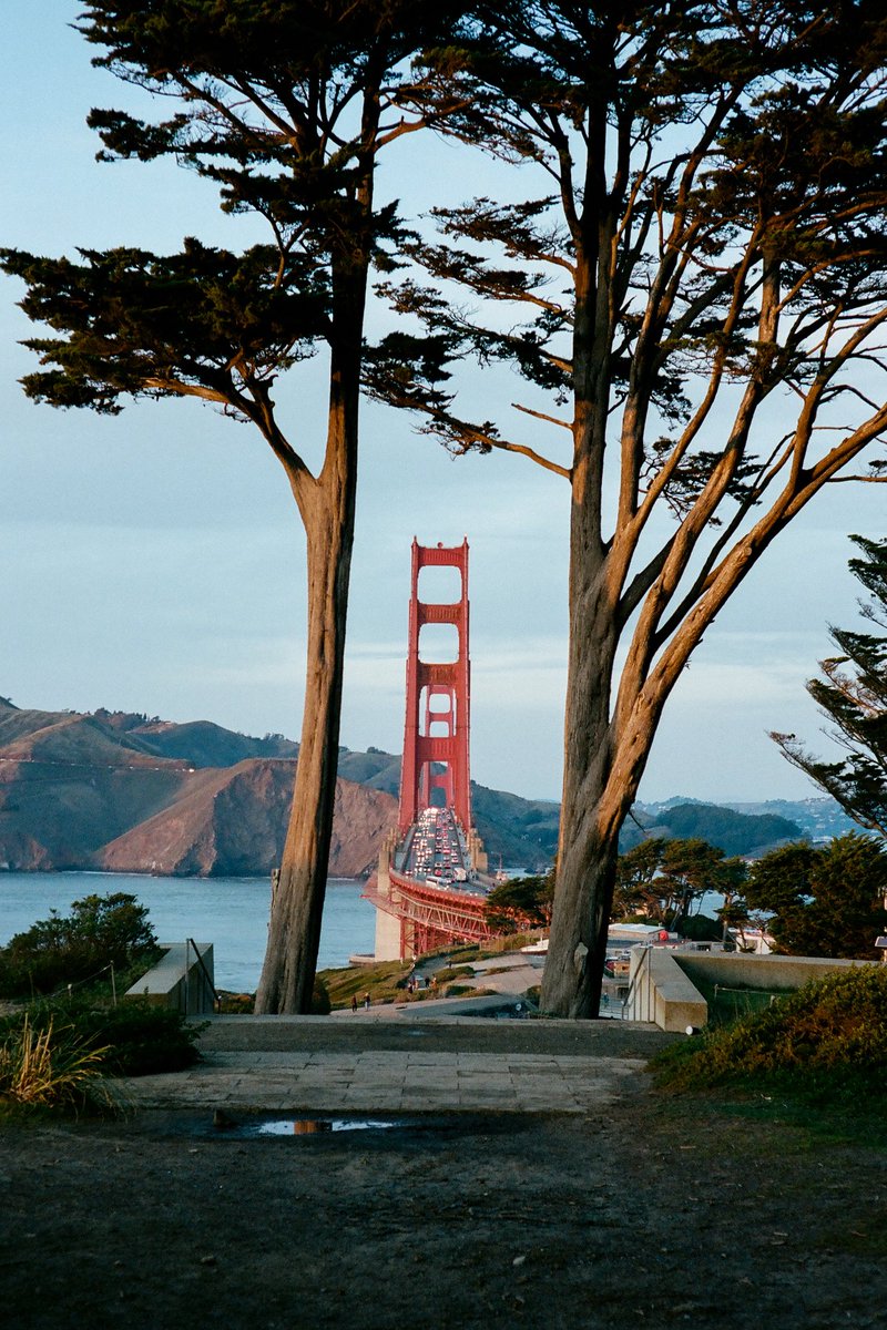 jakob_lr's tweet image. Shades of Blue on 35mm film