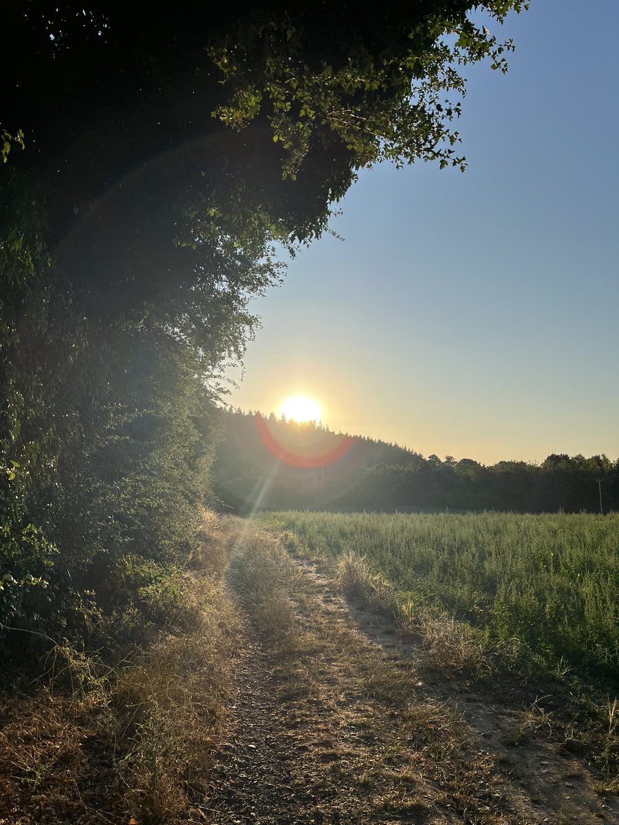 wilkoloopylu's tweet image. #NHS1000miles week 28 for 2025
Walk 🚶‍♀️9.25 miles 
Run 🏃🏻‍♀️ 22.44 miles
Total 31.70 miles 
YTD 1056.04 miles 
Busy working week. Busy school week, but lots of top 3 places at sports day! Weekend dominated by football &amp;amp; heat. Enjoying Wimbledon final before watching the lionesses!