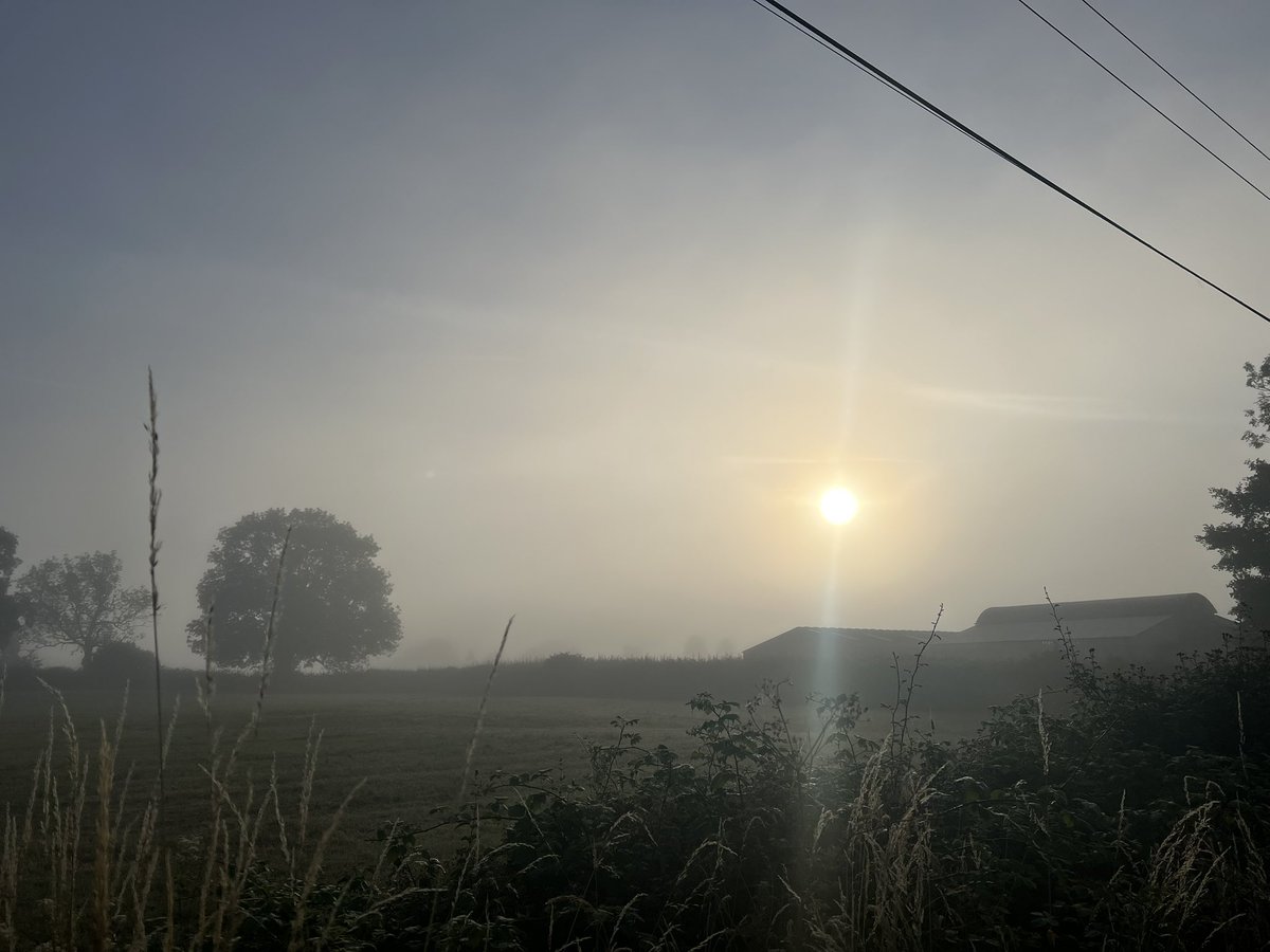 wilkoloopylu's tweet image. #NHS1000miles week 28 for 2025
Walk 🚶‍♀️9.25 miles 
Run 🏃🏻‍♀️ 22.44 miles
Total 31.70 miles 
YTD 1056.04 miles 
Busy working week. Busy school week, but lots of top 3 places at sports day! Weekend dominated by football &amp;amp; heat. Enjoying Wimbledon final before watching the lionesses!