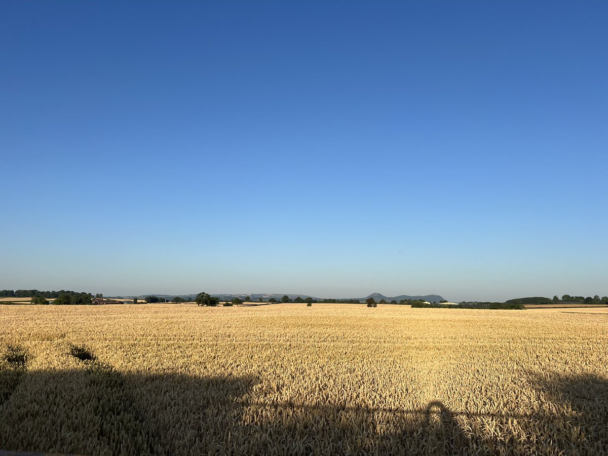 wilkoloopylu's tweet image. #NHS1000miles week 28 for 2025
Walk 🚶‍♀️9.25 miles 
Run 🏃🏻‍♀️ 22.44 miles
Total 31.70 miles 
YTD 1056.04 miles 
Busy working week. Busy school week, but lots of top 3 places at sports day! Weekend dominated by football &amp;amp; heat. Enjoying Wimbledon final before watching the lionesses!
