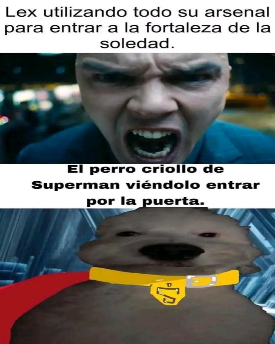 Lucho Portuano tweet media