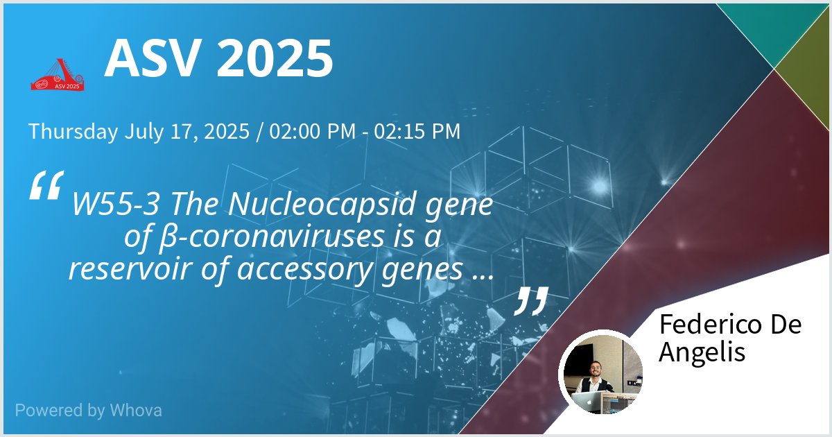 Yo! I will give a talk at ASV 2025 this coming Thursday, be there or be ⬛!