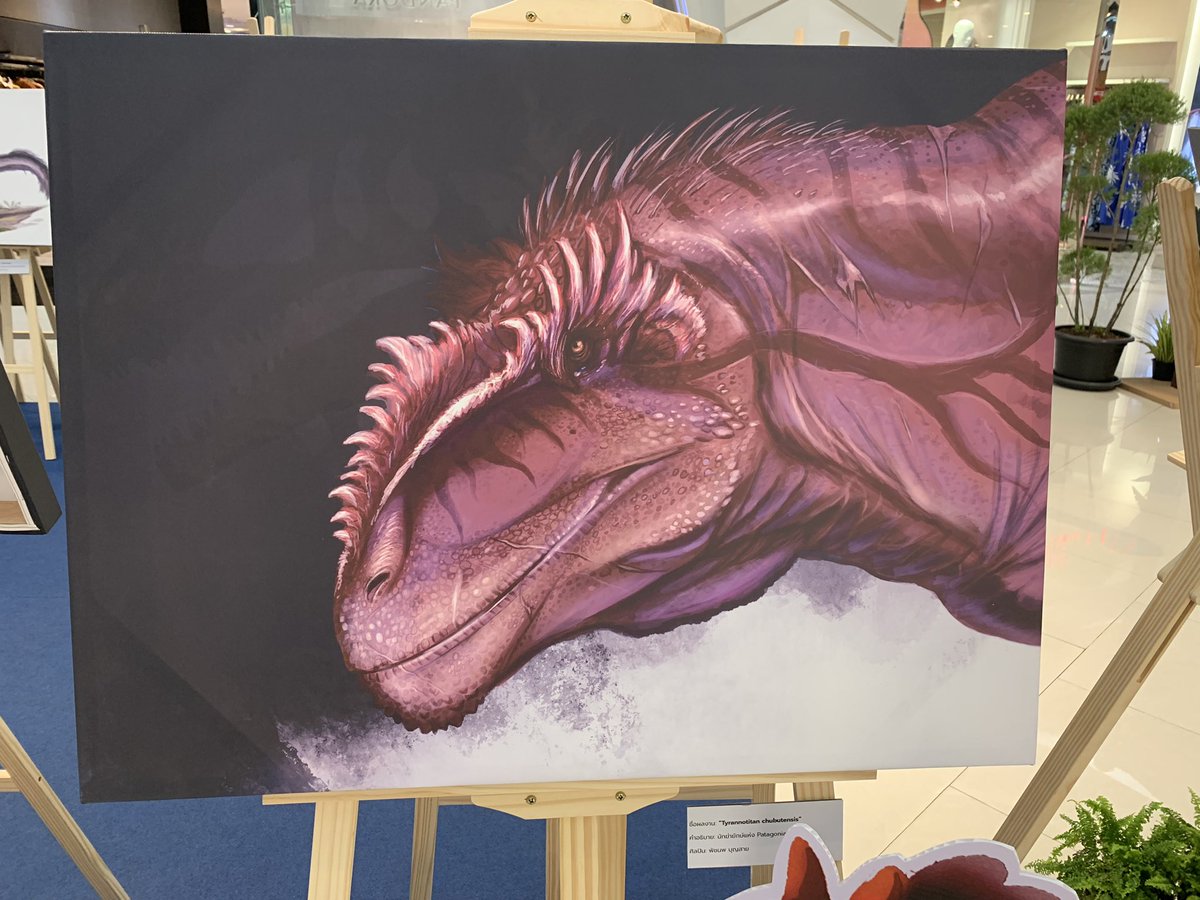 DTakeji's tweet image. Some of my art got a chance to be display in a little Paleoart section of the paleontology exhibits. It’s a very fun and unique experiences🦖🦕🕊️
#dinosaur