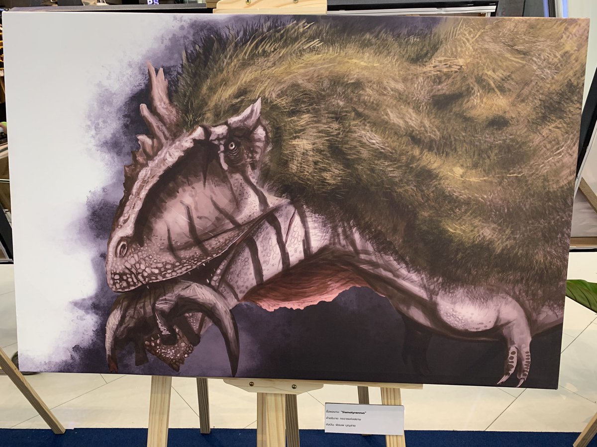 DTakeji's tweet image. Some of my art got a chance to be display in a little Paleoart section of the paleontology exhibits. It’s a very fun and unique experiences🦖🦕🕊️
#dinosaur
