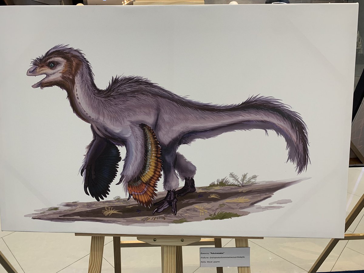 DTakeji's tweet image. Some of my art got a chance to be display in a little Paleoart section of the paleontology exhibits. It’s a very fun and unique experiences🦖🦕🕊️
#dinosaur