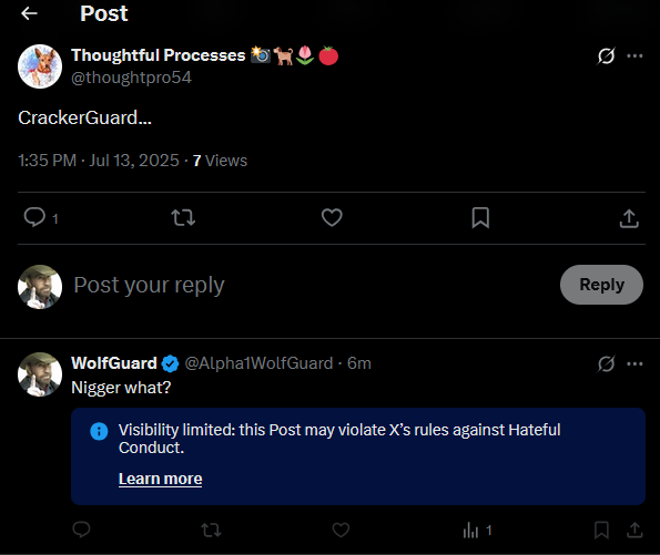 Alpha1WolfGuard's tweet photo. @thoughtpro54 @SaveAmericaNew So a nig calls me a cracker, but I'm the one who gets placed in X jail? https://t.co/zZmsl9utDA