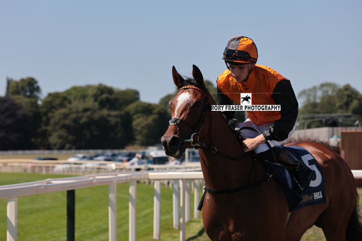 Rory Fraser Photography🤘 (@92roryf) on Twitter photo Fourth at York on Friday in the Group Three Summer Stakes (6f), ARABIAN DUSK (Havana Grey x Lady Macduff)
Trained by Simon & Ed Crisford <a href="/gainsboroughHQ/">Gainsborough Thoroughbreds</a>, owned by Sheikh Duaijh al Maktoum and ridden by <a href="/daviesharry_/">Harry Joe Davies</a>.
Winner of a Gr. 2 at Newmarket a year to the day ago in 2024. Fourth at York on Friday in the Group Three Summer Stakes (6f), ARABIAN DUSK (Havana Grey x Lady Macduff)
Trained by Simon & Ed Crisford <a href="/gainsboroughHQ/">Gainsborough Thoroughbreds</a>, owned by Sheikh Duaijh al Maktoum and ridden by <a href="/daviesharry_/">Harry Joe Davies</a>.
Winner of a Gr. 2 at Newmarket a year to the day ago in 2024.