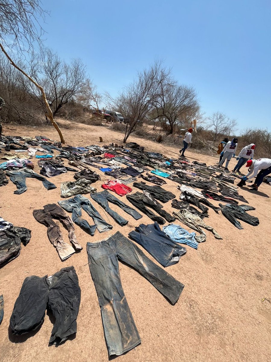 alitomorenoc's tweet image. Cuatro cuerpos en fosas clandestinas en Hermosillo, Sonora. Decenas de casquillos de armas largas y cortas, huesos calcinados, zonas que pudieron usarse como crematorios, mochilas, ropa, zapatos. Un campamento del crimen operando con total libertad.
Los narcopolíticos de Morena…