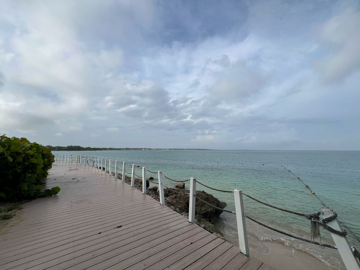 RClaure_nefro's tweet image. #JustDoItSunday 🏃🏻‍♂️ #Run4Kidneys 🫘 #850Challenge 🏝️ #Barú 🇨🇴