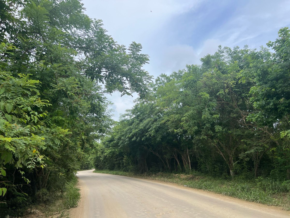 RClaure_nefro's tweet image. #JustDoItSunday 🏃🏻‍♂️ #Run4Kidneys 🫘 #850Challenge 🏝️ #Barú 🇨🇴